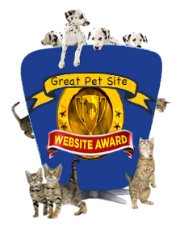 web site award  2011